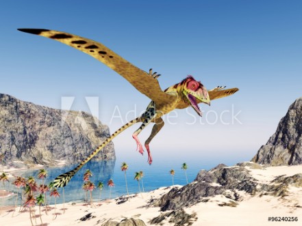 Picture of Pterosaur Peteinosaurus